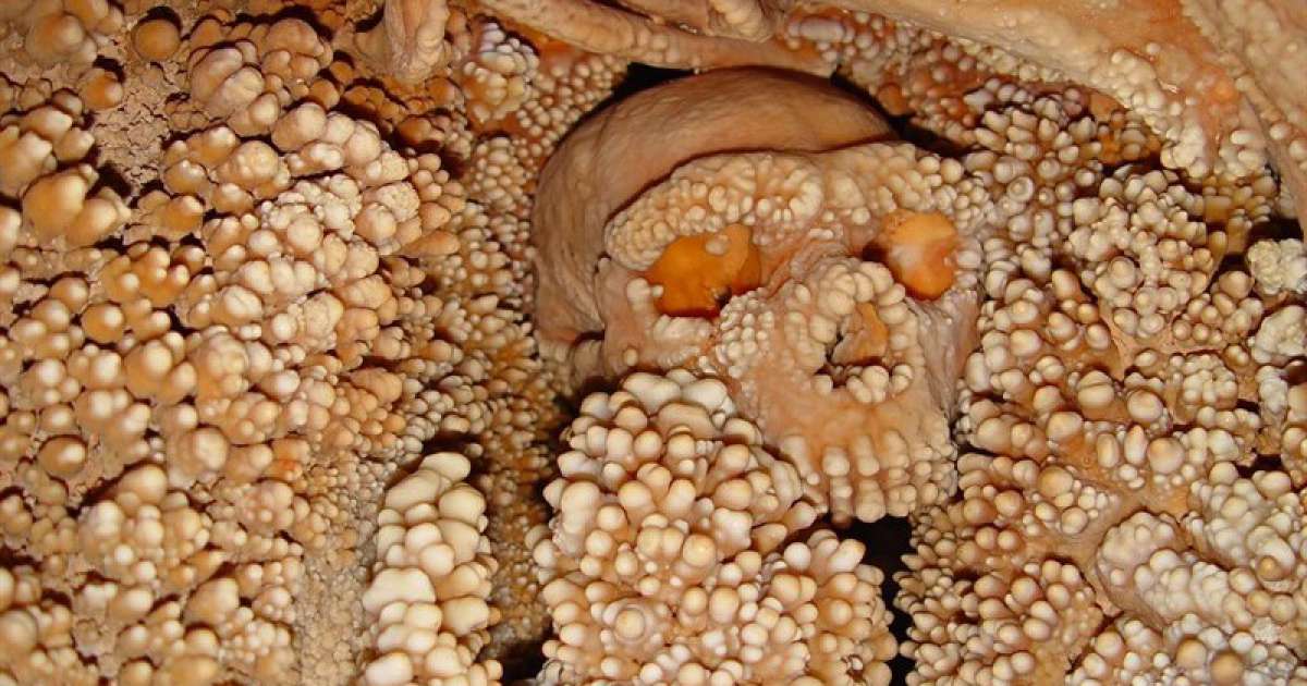''Salviamo l'Uomo di Altamura'': �Se lo rimuovono verr� distrutto�